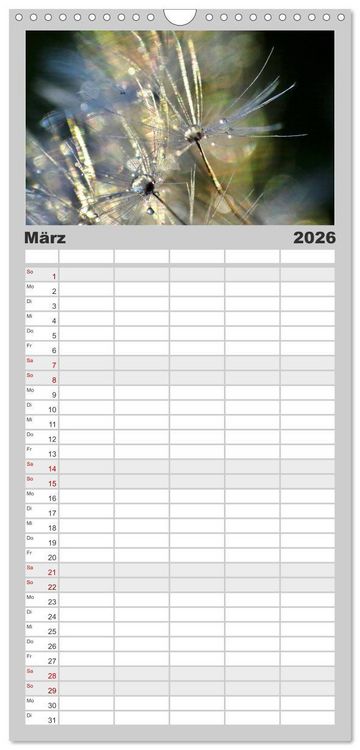 Produktbild: Familienplaner 2026 - Naturjuwel Pusteblume mit 5 Spalten (Wandkalender, 21 x 45 cm) CALVENDO