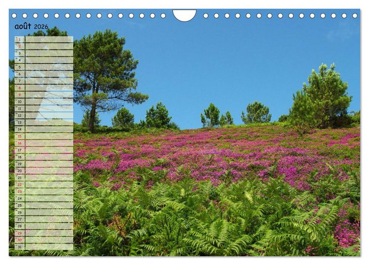Produktbild: FINISTERE La pointe du bout du monde (Calendrier mural 2026 DIN A4 vertical), CALVENDO calendrier mensuel
