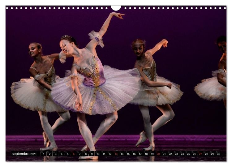 Produktbild: Vaganova, ballet imp&eacute;rial (Calendrier mural 2026 DIN A3 vertical), CALVENDO calendrier mensuel