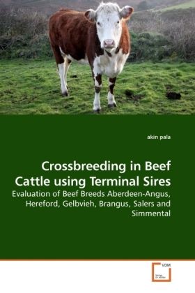 Produktbild: Crossbreeding in Beef Cattle using Terminal Sires