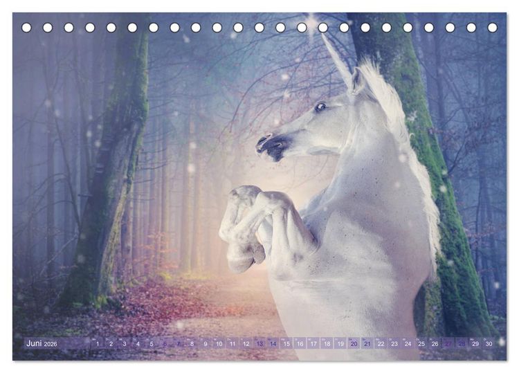 Produktbild: Einhorn Love - Fantasiewelt (Tischkalender 2026 DIN A5 quer), CALVENDO Monatskalender