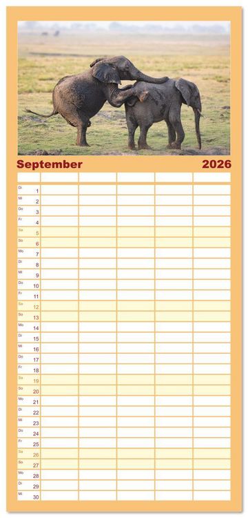 Produktbild: Familienplaner 2026 - Action in der Savanne mit 5 Spalten (Wandkalender, 21 x 45 cm) CALVENDO