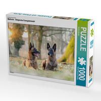 Produktbild: CALVENDO Puzzle Malinois - Belgische Energieb&uuml;ndel 1000 Teile Lege-Gr&ouml;&szlig;e 64 x 48 cm Foto-Puzzle Bild von Martina Wrede
