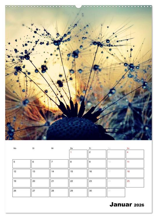 Produktbild: Pusteblumentraum - Dreams of Dandelion (Wandkalender 2026 DIN A2 hoch), CALVENDO Monatskalender