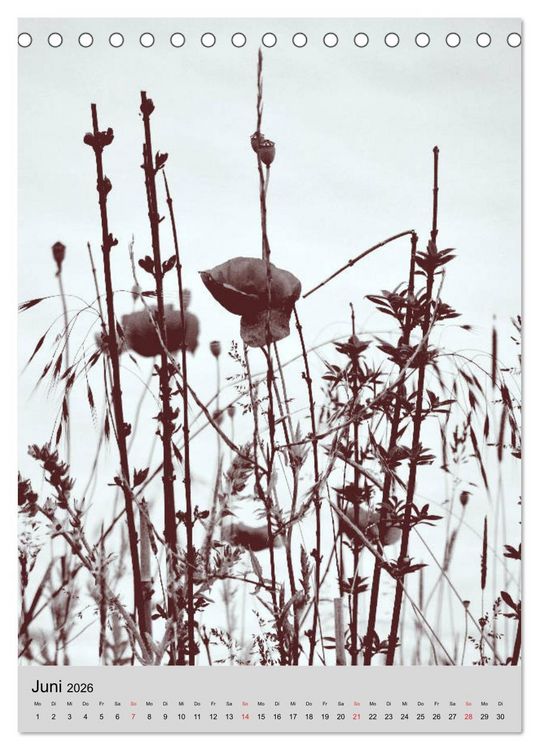 Produktbild: Natur monochrom Die besondere Wirkung (Tischkalender 2026 DIN A5 hoch), CALVENDO Monatskalender