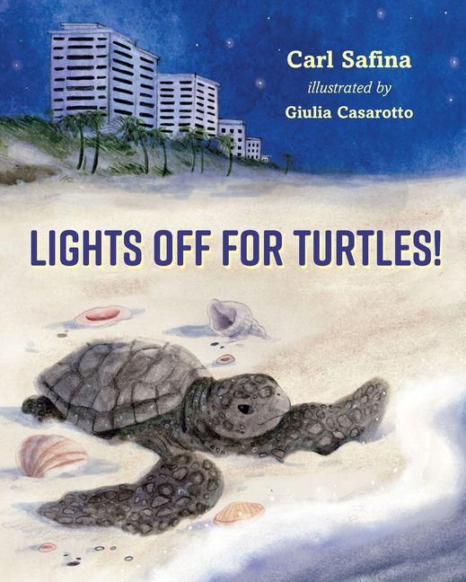 Produktbild: Lights Off for Turtles!