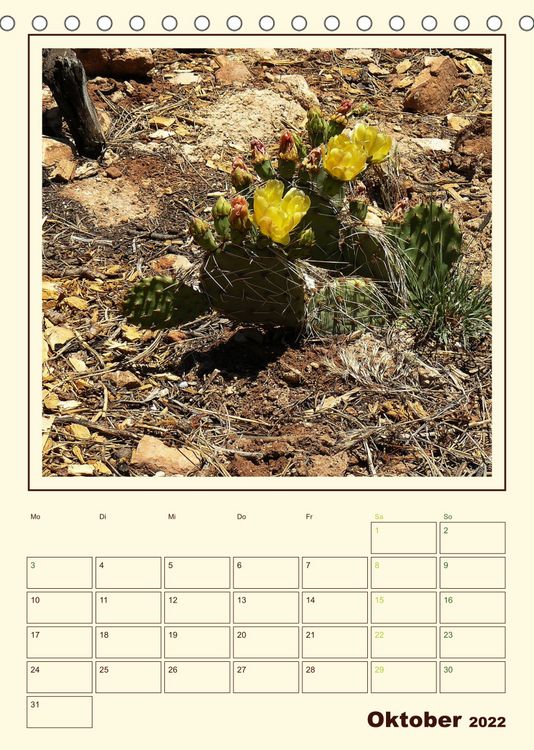 Produktbild: Wilde Kakteen Amerikas (Tischkalender 2022 DIN A5 hoch)