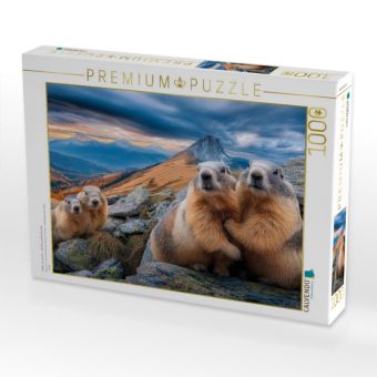 Produktbild: CALVENDO Puzzle Hallo, wir sind&acute;s - die Murmeltierfamilie | 1000 Teile Lege-Gr&ouml;&szlig;e 64x48cm Foto-Puzzle f&uuml;r gl&uuml;ckliche Stunden