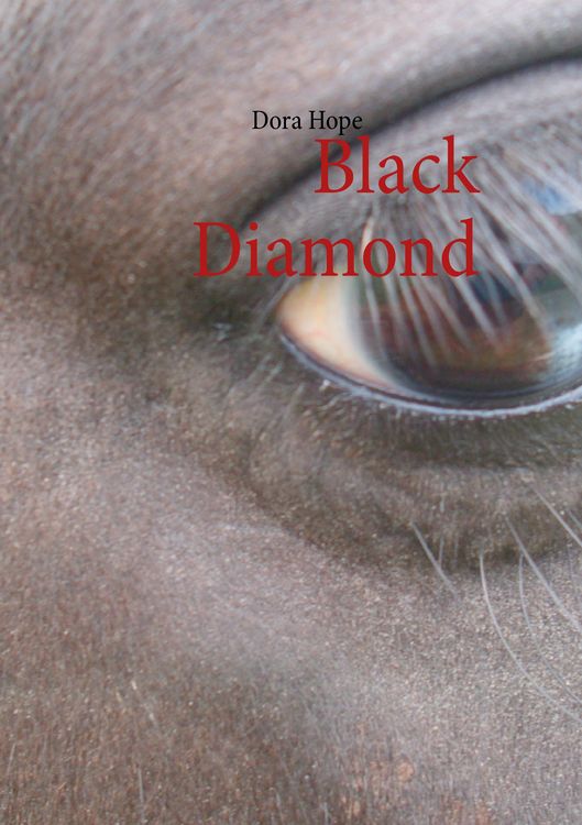 Produktbild: Black Diamond