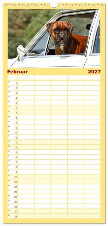 Produktbild: Familienplaner 2027 - Deutscher Boxer 2027 mit 5 Spalten (Wandkalender, 21 x 45 cm) CALVENDO