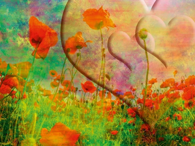 Produktbild: CALVENDO Puzzle FANTASIEWELT Mohnblumenwiese mit Herzen II | 1000 Teile Lege-Gr&ouml;&szlig;e 64x48cm Foto-Puzzle f&uuml;r gl&uuml;ckliche Stunden