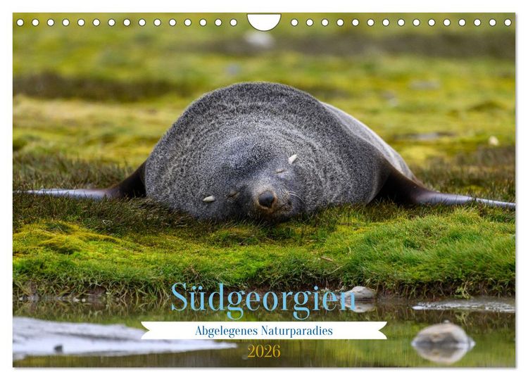 Produktbild: S&uuml;dgeorgien - Abgelegenes Naturparadies (Wandkalender 2026 DIN A4 quer), CALVENDO Monatskalender