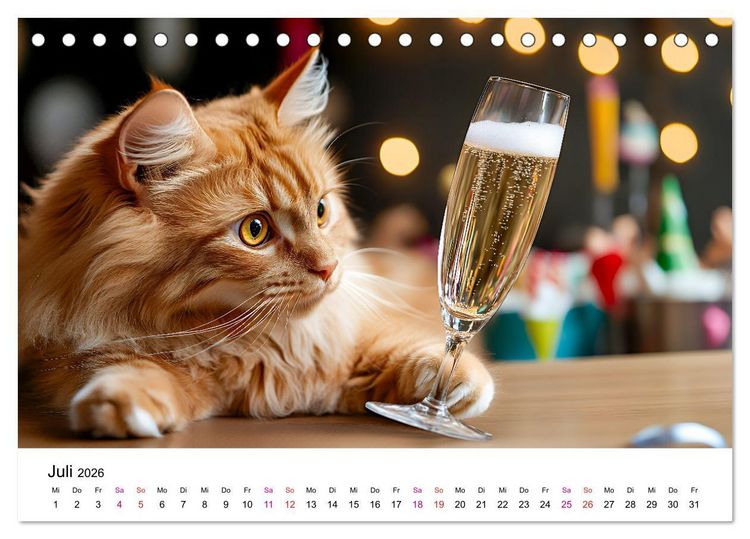 Produktbild: Katzenzauber - Samtpfoten im Jahreslauf (Tischkalender 2026 DIN A5 quer), CALVENDO Monatskalender