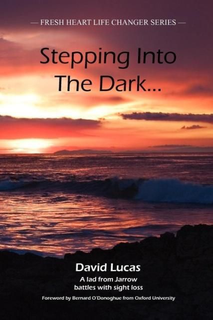 Produktbild: Stepping Into the Dark