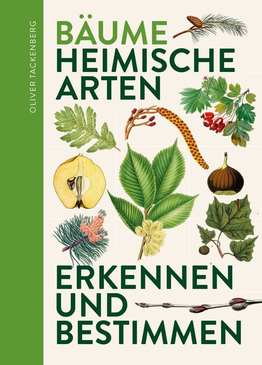 Produktbild: B&auml;ume
