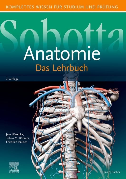 Produktbild: Sobotta Lehrbuch Anatomie