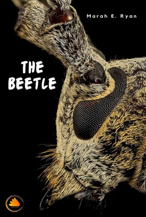 Produktbild: The Beetle