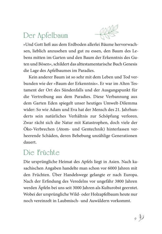 Produktbild: Baumhoroskop der Kelten