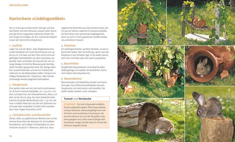 Produktbild: Kaninchen im Au&szlig;engehege