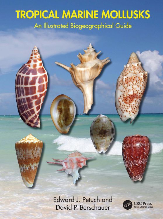 Produktbild: Tropical Marine Mollusks