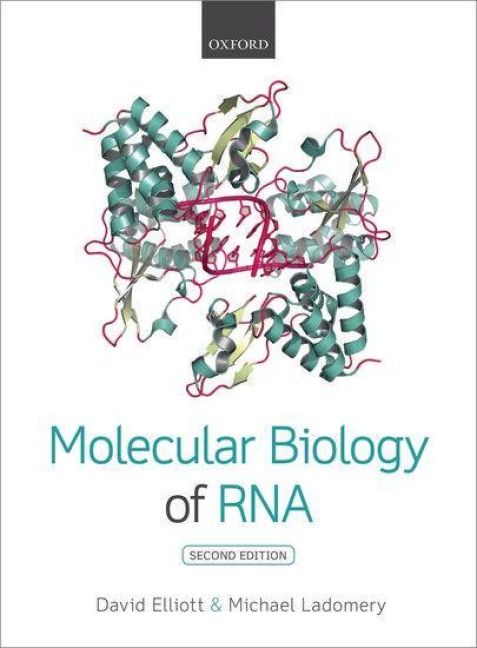 Produktbild: Molecular Biology of RNA