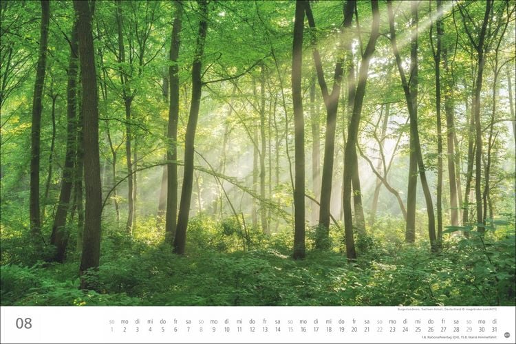 Produktbild: Wunderwelt Wald 2027