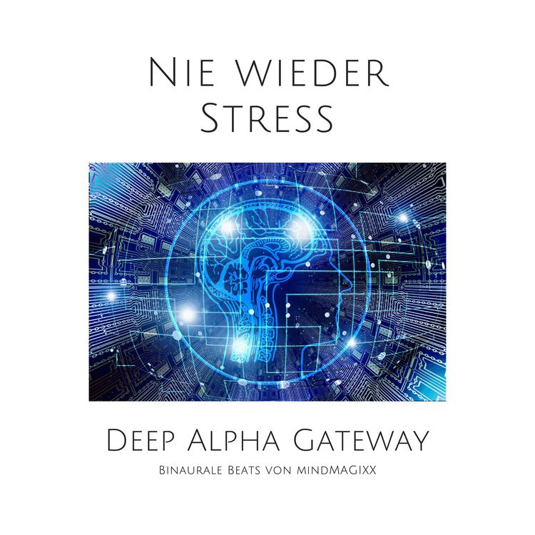 Produktbild: Nie wieder Stress