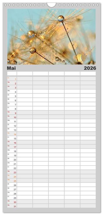 Produktbild: Familienplaner 2026 - Naturjuwel Pusteblume mit 5 Spalten (Wandkalender, 21 x 45 cm) CALVENDO