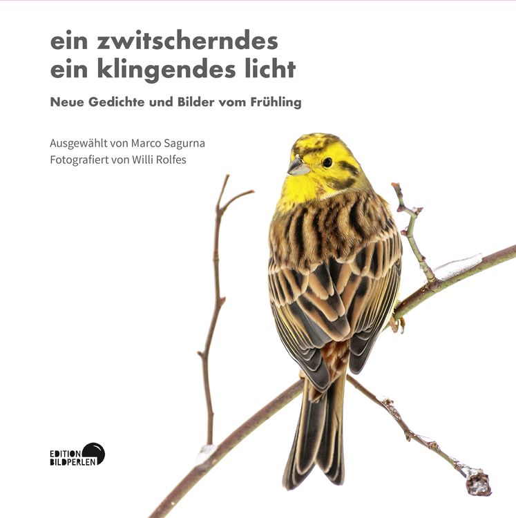 Produktbild: Ein zwitscherndes ein klingendes licht
