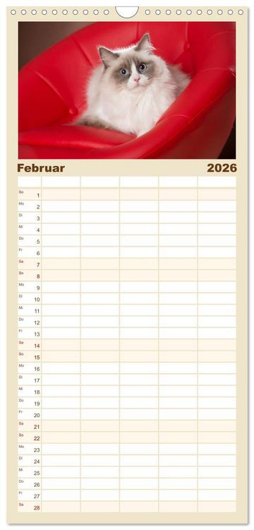 Produktbild: Familienplaner 2026 - Zauberhafte Ragdolls mit 5 Spalten (Wandkalender, 21 x 45 cm) CALVENDO