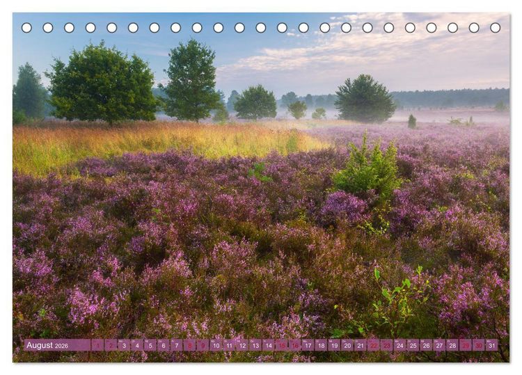 Produktbild: Stille Naturmomente (Tischkalender 2026 DIN A5 quer), CALVENDO Monatskalender