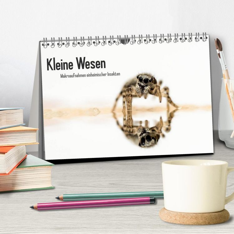 Produktbild: Kleine Wesen &ndash; Makroaufnahmen von einheimischen Insekten (Tischkalender 2026 DIN A5 quer), CALVENDO Monatskalender