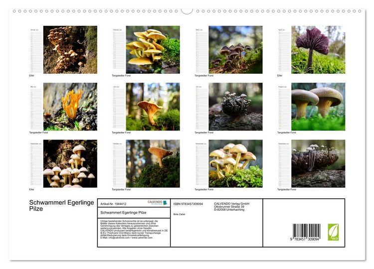 Produktbild: Schwammerl Egerlinge Pilze (hochwertiger Premium Wandkalender 2026 DIN A2 quer), Kunstdruck in Hochglanz