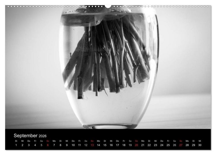 Produktbild: Monochrom 2026 (Wandkalender 2026 DIN A2 quer), CALVENDO Monatskalender