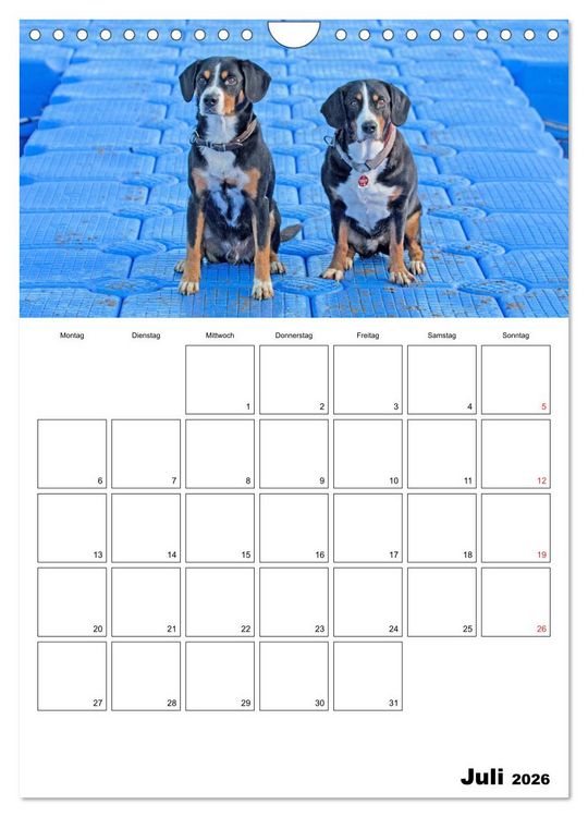 Produktbild: Entlebucher Sennenhunde begleiten Sie durch das Jahr (Wandkalender 2026 DIN A4 hoch), CALVENDO Monatskalender