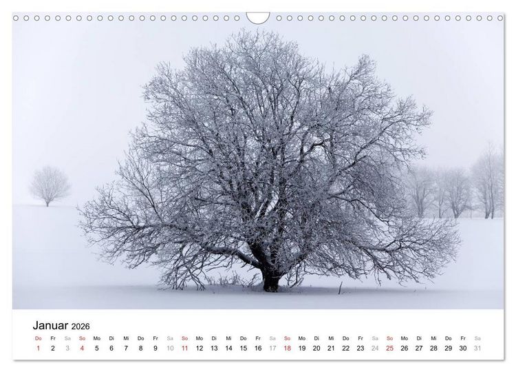 Produktbild: Die Rh&ouml;n (Wandkalender 2026 DIN A3 quer), CALVENDO Monatskalender