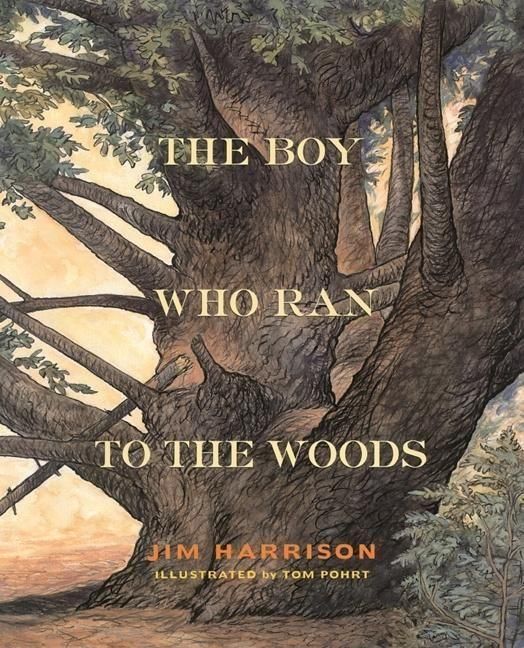 Produktbild: The Boy Who Ran to the Woods