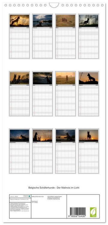 Produktbild: Familienplaner 2026 - Belgische Sch&auml;ferhunde - Der Malinois im Licht mit 5 Spalten (Wandkalender, 21 x 45 cm) CALVENDO