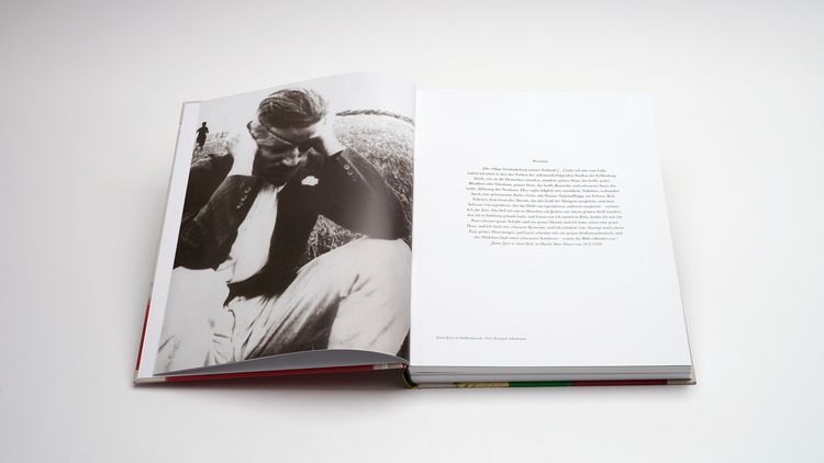 Produktbild: Werner Schmidt &ndash; James Joyce und die Farben des Ulysses