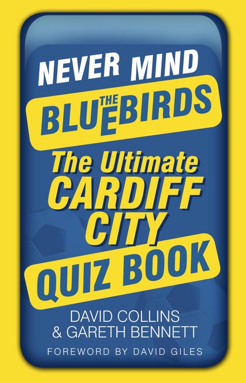 Produktbild: Never Mind the Bluebirds