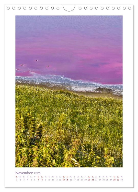 Produktbild: Texel - Momente die verzaubern (Wandkalender 2026 DIN A4 hoch), CALVENDO Monatskalender