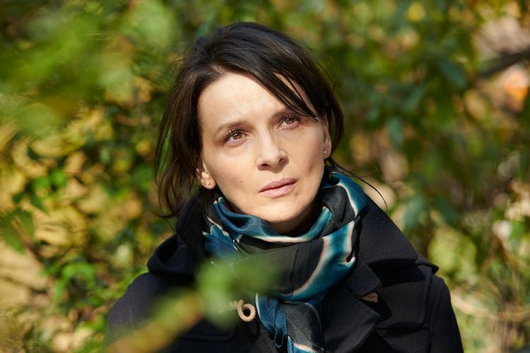 Produktbild: Die Bl&uuml;te des Einklangs