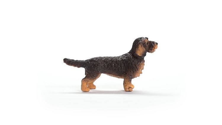 Produktbild: schleich&reg; Farm World Rauhaardackel 3,8cm