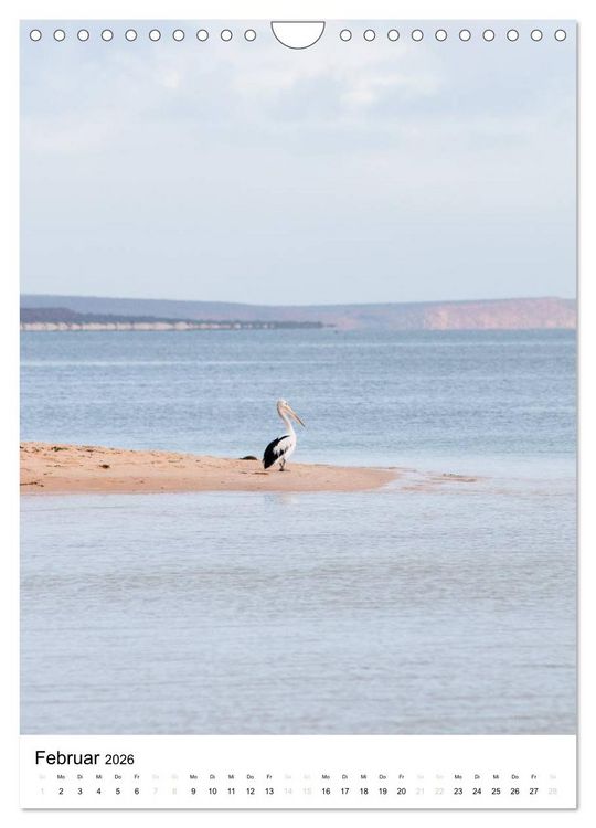 Produktbild: australian animals (Wandkalender 2026 DIN A4 hoch), CALVENDO Monatskalender