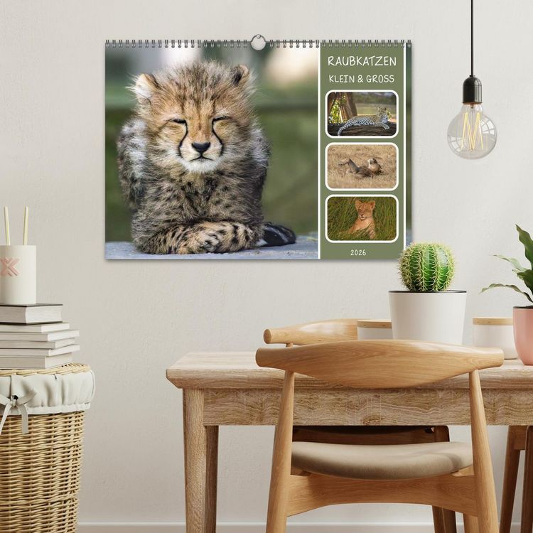 Produktbild: Raubkatzen - gro&szlig; & klein (Wandkalender 2026 DIN A3 quer), CALVENDO Monatskalender