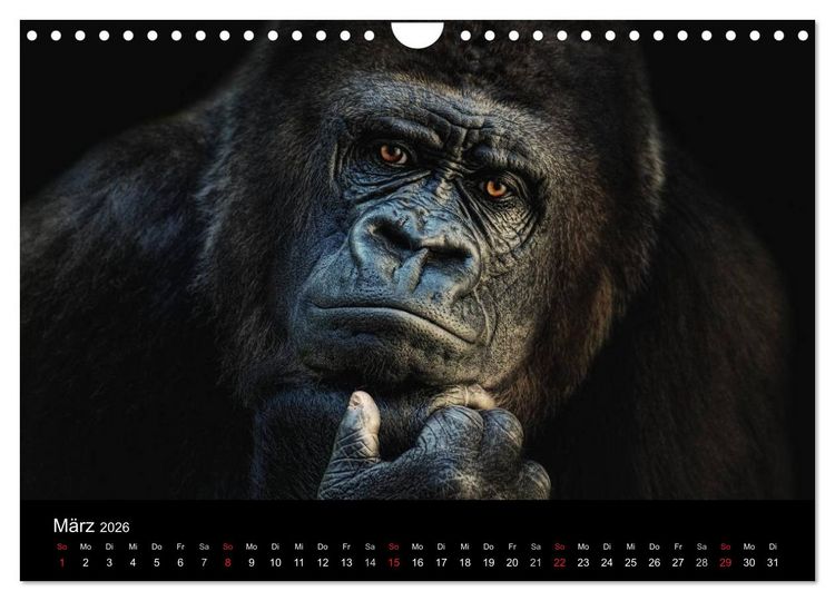 Produktbild: Tierisches (Wandkalender 2026 DIN A4 quer), CALVENDO Monatskalender
