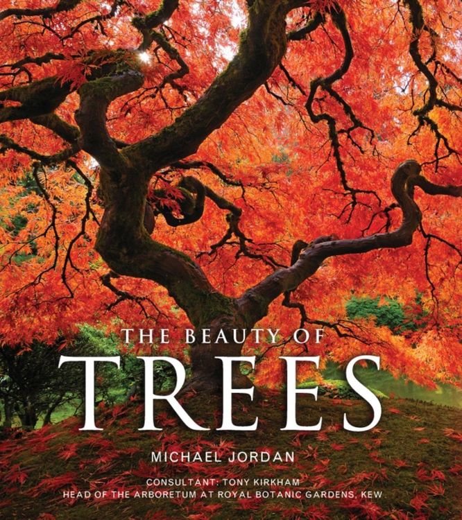 Produktbild: The Beauty of Trees