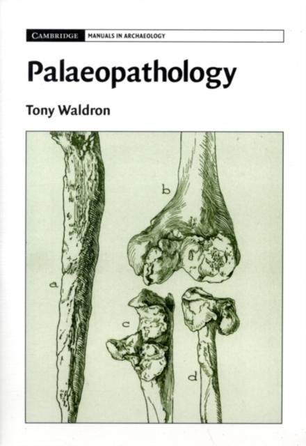 Produktbild: Palaeopathology