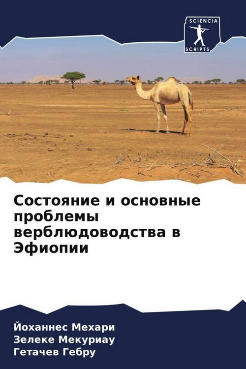 Produktbild: Sostoqnie i osnownye problemy werbl&uuml;dowodstwa w Jefiopii