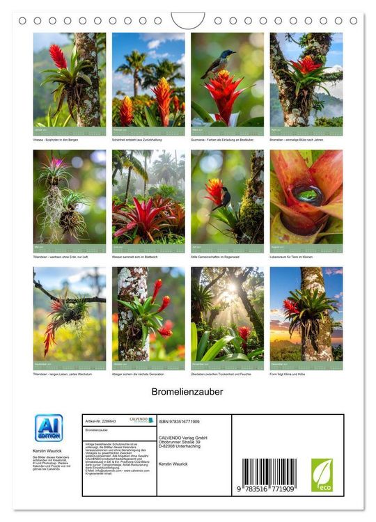 Produktbild: Bromelienzauber (Wandkalender 2027 DIN A4 hoch), CALVENDO Monatskalender